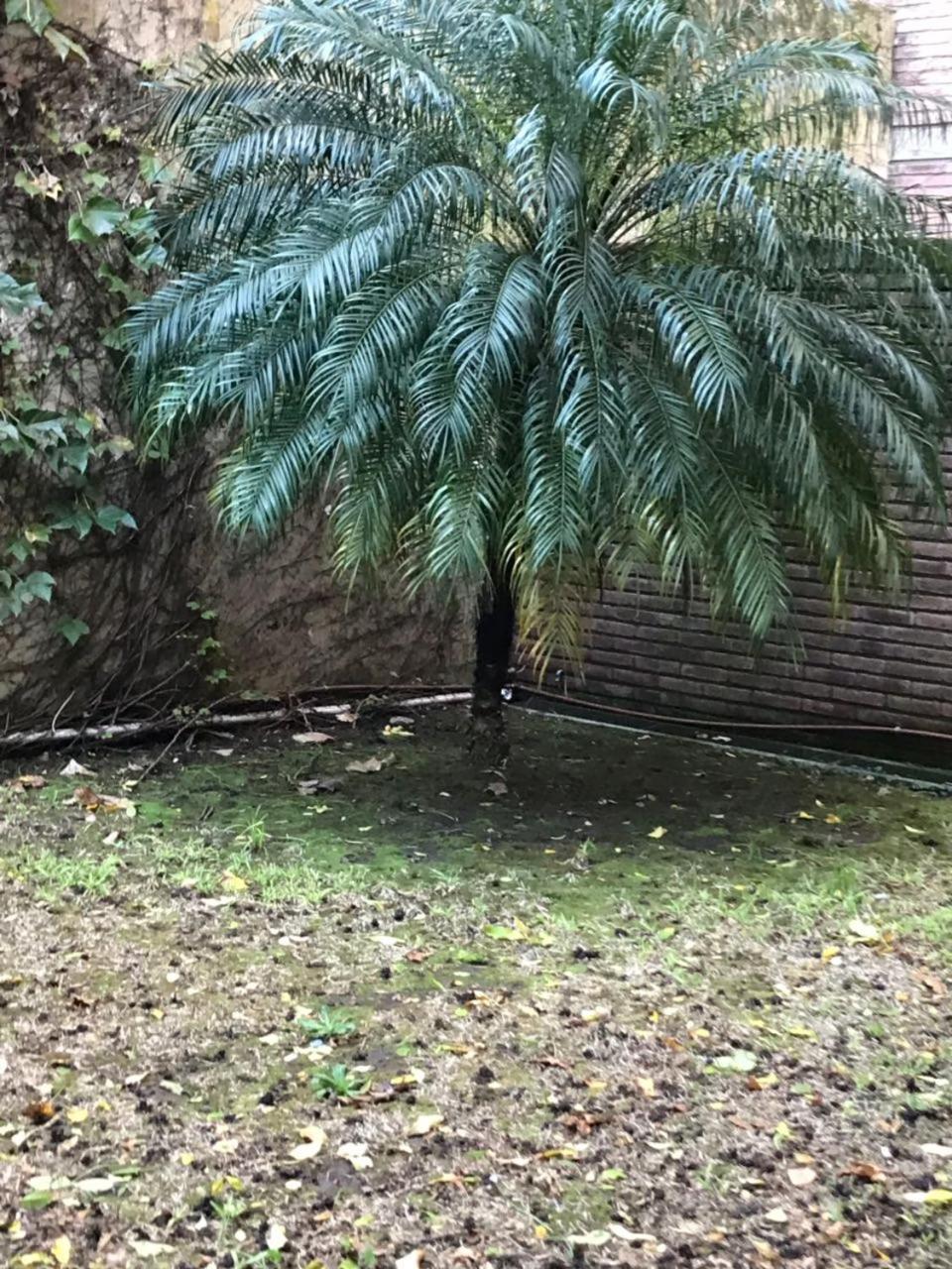 Apartmán Amplio Dpto Con Jardin En El Centro De La Ciudad Rosario Exteriér fotografie